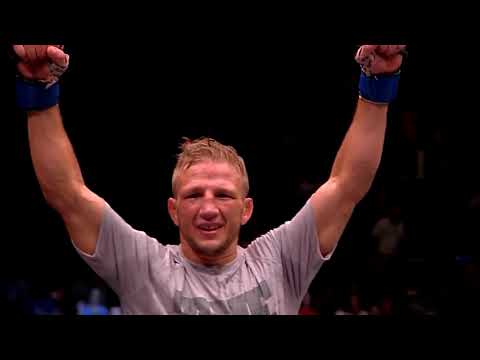 ტი ჯეი დილაშოუ ჰაილაითები TJ Dillashaw Highlights