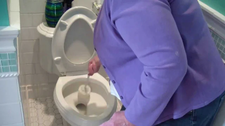 Terri Cook Bathroom Toilet Cleaning