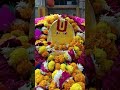 Live abhishek darshan smadhi ke ranuja sarkar rms     ramdevra ramdevramela