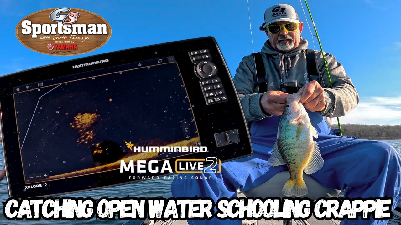 Ловля стайных окуней в открытой воде!!