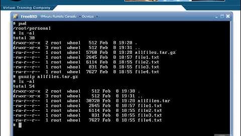 VTC Player   Unix System Administration Essentials, Using GZIP   BZIP