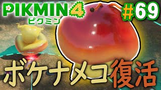 そびえ立つ巨大なボケナメコだ！『ピクミン4』を実況プレイ part69