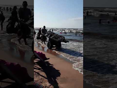 جمصه وجمالها اليوم الأربعاء الموافق ٢٠ اغسطس ٢٠٢٥ Shorts 