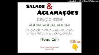 Vídeo de ALELUIA - UM GRANDE PROFETA SURGIU ENTRE NÓS