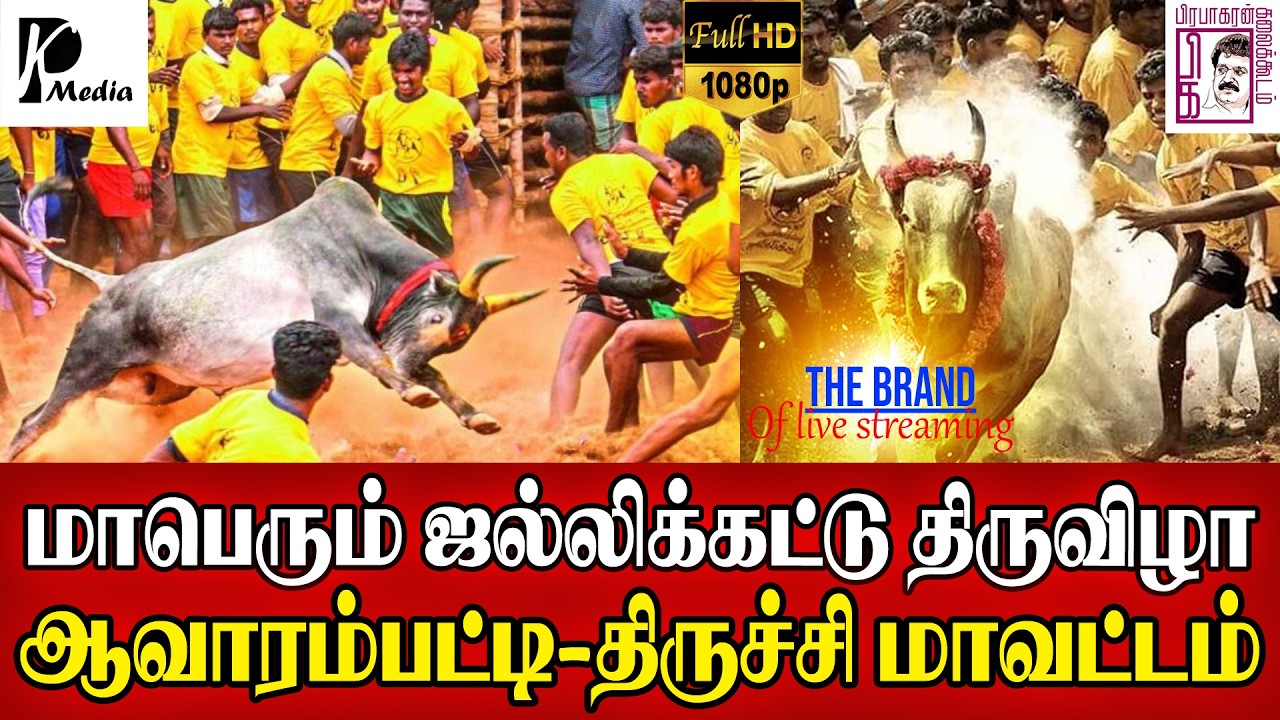 🔴 Live (நேரலை) | ஆவாரம்பட்டி (மணப்பாறை) ஜல்லிக்கட்டு திருவிழா | திருச்சி மாவட்டம் | PK Media