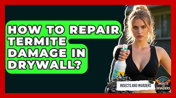 How To Repair Termite Damage In Drywall? - Insects and Invaders