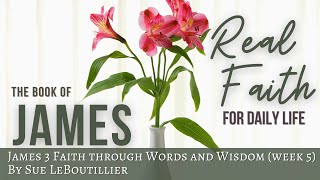 James 3  • Faith Through Words and Wisdom  • Real Faith for Daily Life
