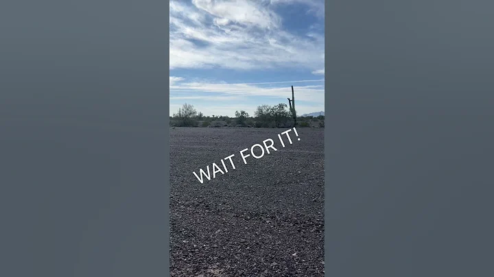 What Is He Running From?