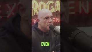 STEVE - O ( JACKASS ) - THE GUY WHO JOKE ABOUT EVERYTHING - JOE ROGAN