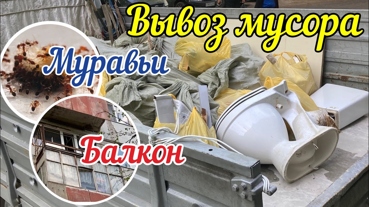 Борьба с домашними муравьями | Демонтаж балконов | Вывезли мусор перед ...