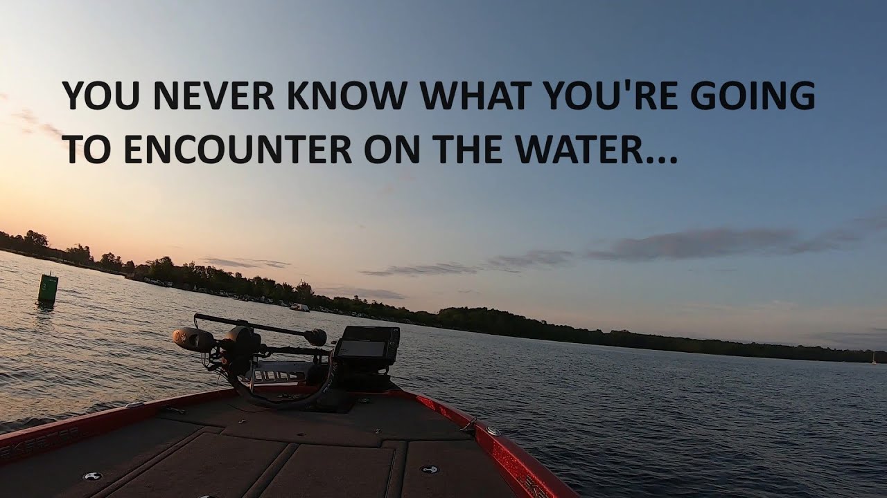 You never know what you're going to encounter on the water.