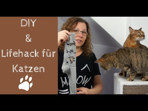 Video: Wie Erstelle Ich Ein Hausgemachtes Katzenspielzeug?