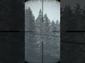 É UMA ÁRVORE OU PLAYER? #shorts  #shortvideo #dayzgamers #gaming #dayz