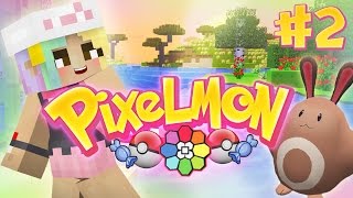 CATCH OF THE DAY! - 02 - PIXELMON (Minecraft Pokemon Mod) screenshot 4