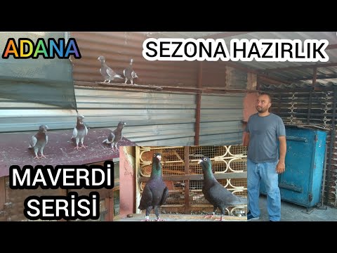 ADANA YERLİ GÜVERCİN (ECZACI KEMAL) YAVUZLAR MH