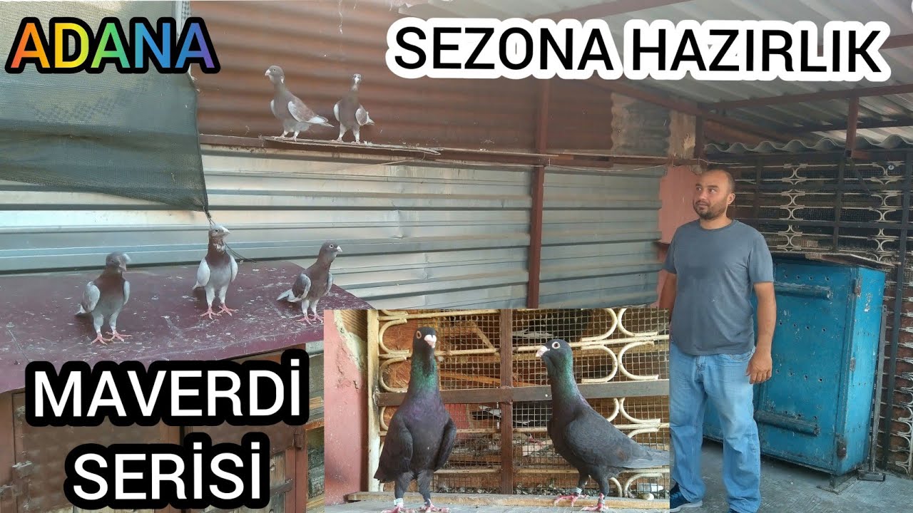 ADANA YERLİ GÜVERCİN (ECZACI KEMAL) YAVUZLAR MH