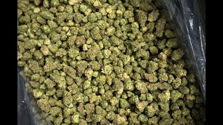 Boehner's Reversal on Weed `Monumental' for Marijuana