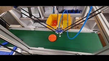 AI vision based delta robot