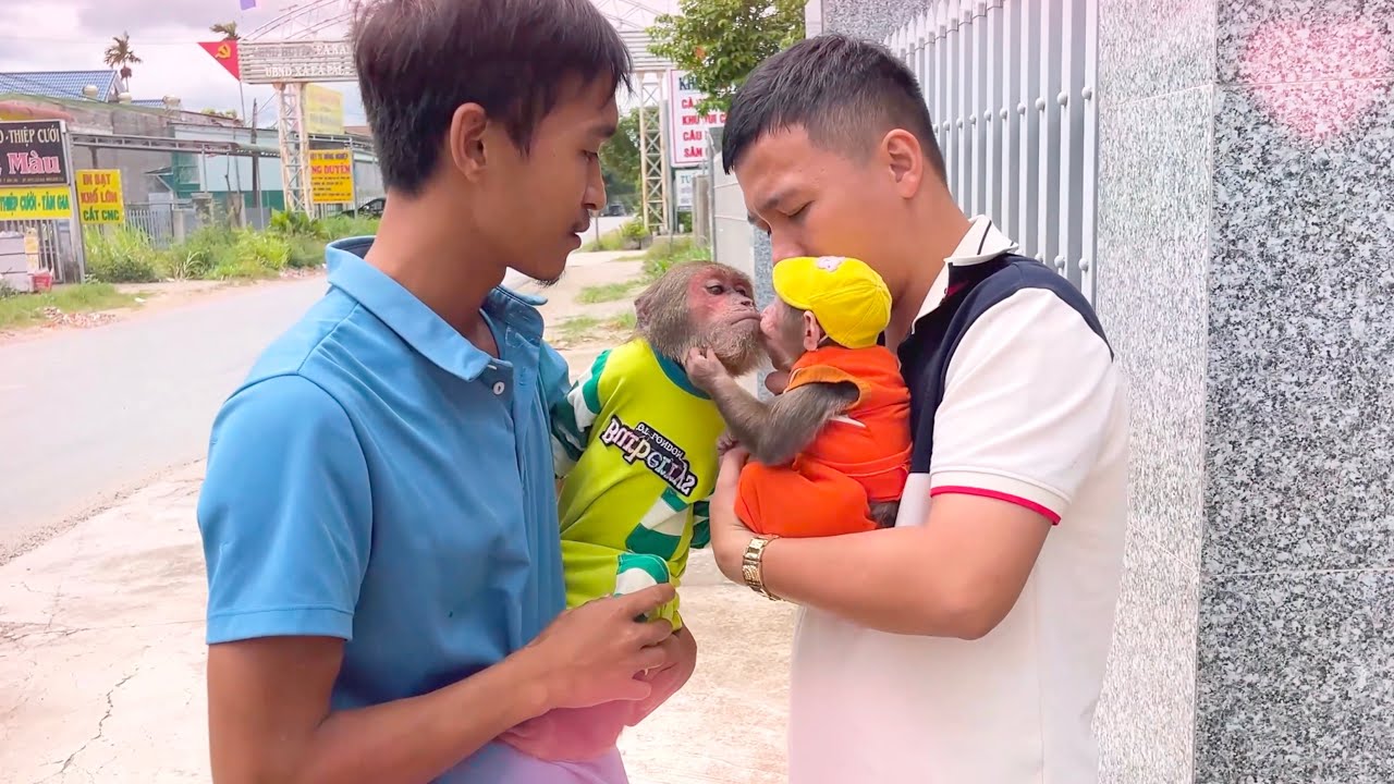 Too Emotional to Watch! CUBIS Doesn’t Want to Say Goodbye to CUTIS