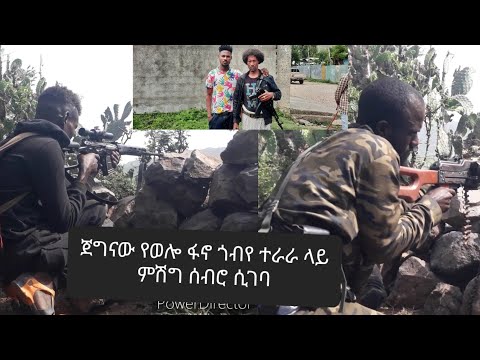 ቪዲዮ: Yeysk ውስጥ ካምፕ: መግለጫ, ግምገማዎች