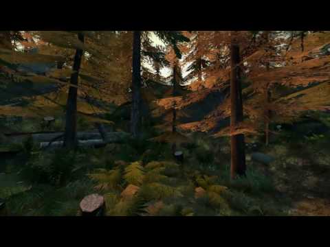 De_Forest a Counterstrike Source map by Robert Briscoe (HD)