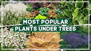 Top 15 Most Popular Plants for Planting Under Trees 🍃 🌳 // PlantDo Home & Garden