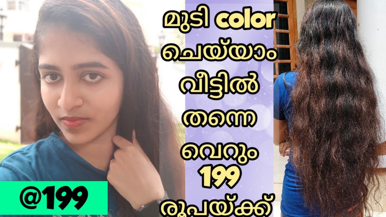 199രൂപയ്ക്ക് No Ammonia hair colorഓ 😱അതും വീട്ടിൽ തന്നെ|രണ്ടു മാസത്തിന്നു ശേഷം ഉള്ള റിസൾട്ട്‌ കാണാം