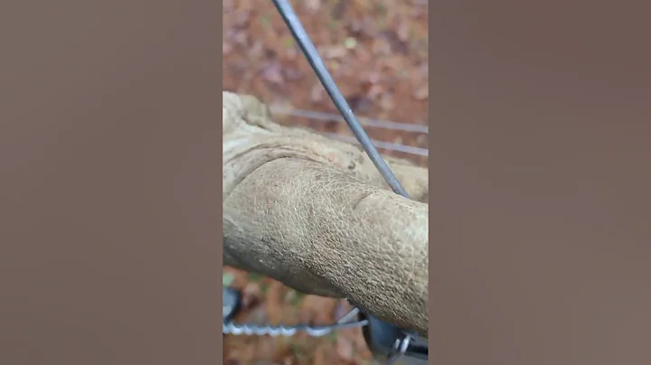 P3/3 - High-tensile fence H-brace wiring subtleties