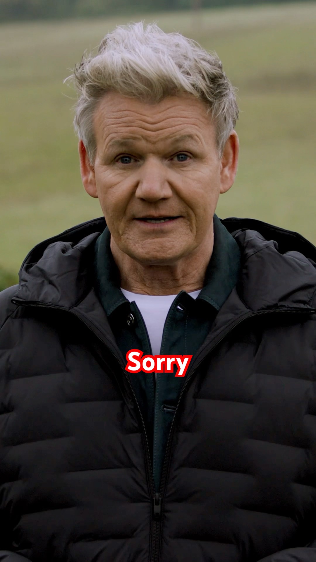 To all the donkeys I’ve wronged…#HayDay #UnleashHarmony #ad