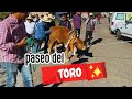 Video de Cosoltepec