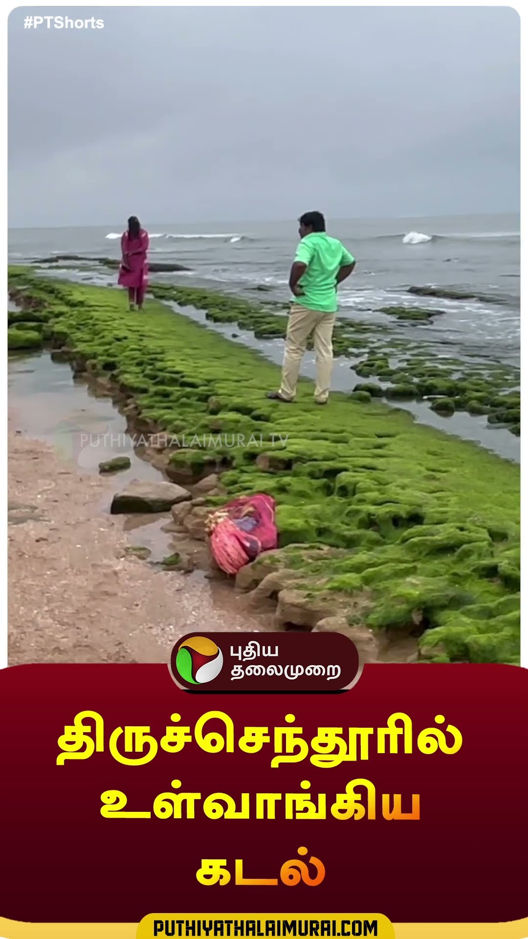 திருச்செந்தூரில் உள்வாங்கிய கடல் | #shorts | #tiruchendur | #sea | #kadal