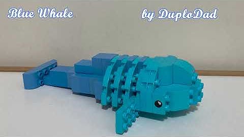 How to build LEGO Duplo Blue Whale