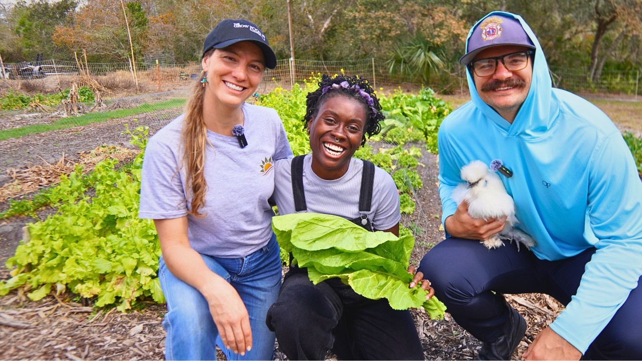 Этот пожарный и профессиональный волейболист построил в штате Флорида фермерское хозяйство площад...