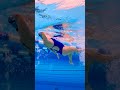 Master the Perfect Backstroke with Expert Tips 👌
