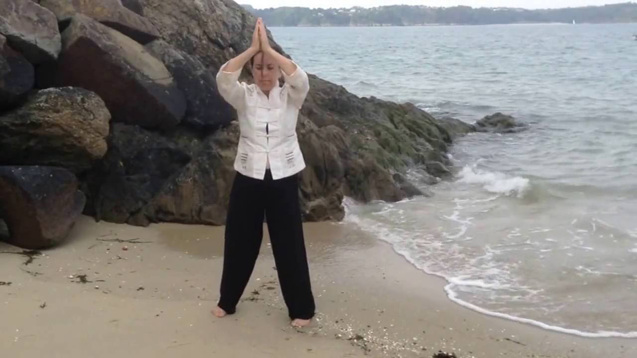 Wu Xing Qi Gong - Qi Gong des 5 Éléments -  Five Elements Qi Gong/ avec Dominique Jacquemay