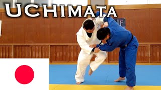 Easy judo throw in kenka yotsu. Maruyama style super Uchi mata.
