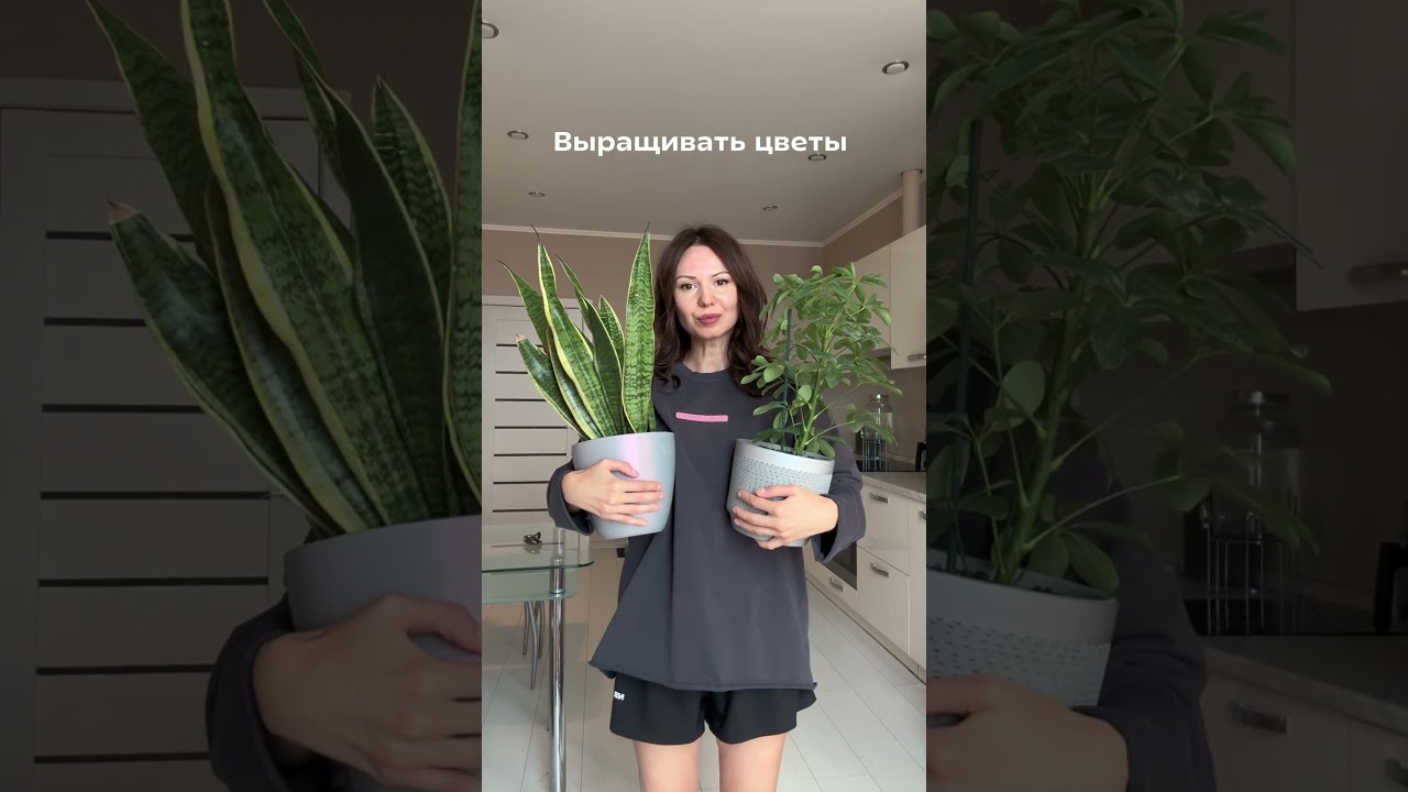 Хобби миллениалов 2025 