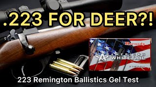 .223 ENOUGH FOR DEER?! 223 Remington Hornady American Whitetail 60gr Ammo Test screenshot 5