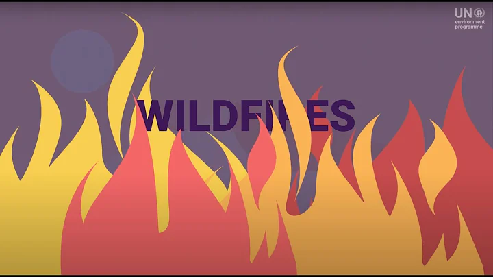 How to boost resilience to climate change - Adaptation Gap Report 2020