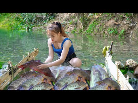 Kingmaker Online Casino - Pelata kasinoa verkossa Suomessa