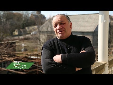 #ახალიდღე #არტიშოკი ნიქოზელი მემტრედე