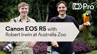 Robert Irwin tests the Canon EOS R5 at Australia Zoo! | CameraPro Australia