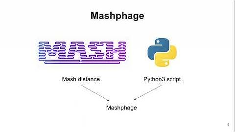 mashphage: a fast and accurate application of mash... - Anicet Ebou - ISCBAfrica 2021 - Poster