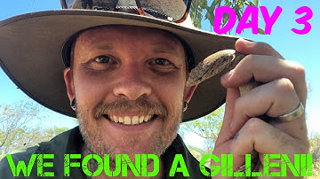 Northern Territory Herping Adventure! PART THREE - Gillens monitor, panoptes, mulga snake + MORE!