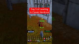 Day 5: One Level Per Day Hardcore Wow Challenge #worldofwarcraft #classicwow #classichc