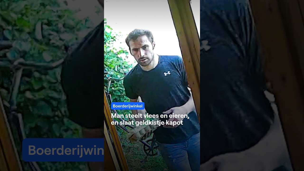 Vlees en eieren stelen, geldkist slopen, en nu is de boerderijwinkel dicht #rtvoost