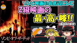 【映画紹介】「ゾンビ・オブ・ザ・デッド」限界突破の低クオリティ!至高のZ級映画!(Flesh freaks)