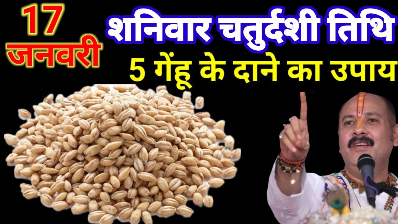 17 जनवरी शनिवार चतुर्दशी तिथि के दिन 11 गेंहू के दाने वाला उपाय जरुर करे || Pradeep Ji Mishra