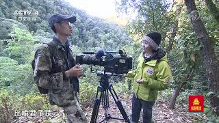 《远方的家》 20200623 行走青山绿水间 遍访万重山 猿声啼不住| CCTV中文国际