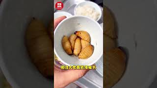 【挑战吃Sago虫的五个等级！你敢挑战几级呢？】｜槟城好料